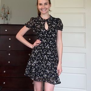 Francesca’s Black Floral Skater Dress
